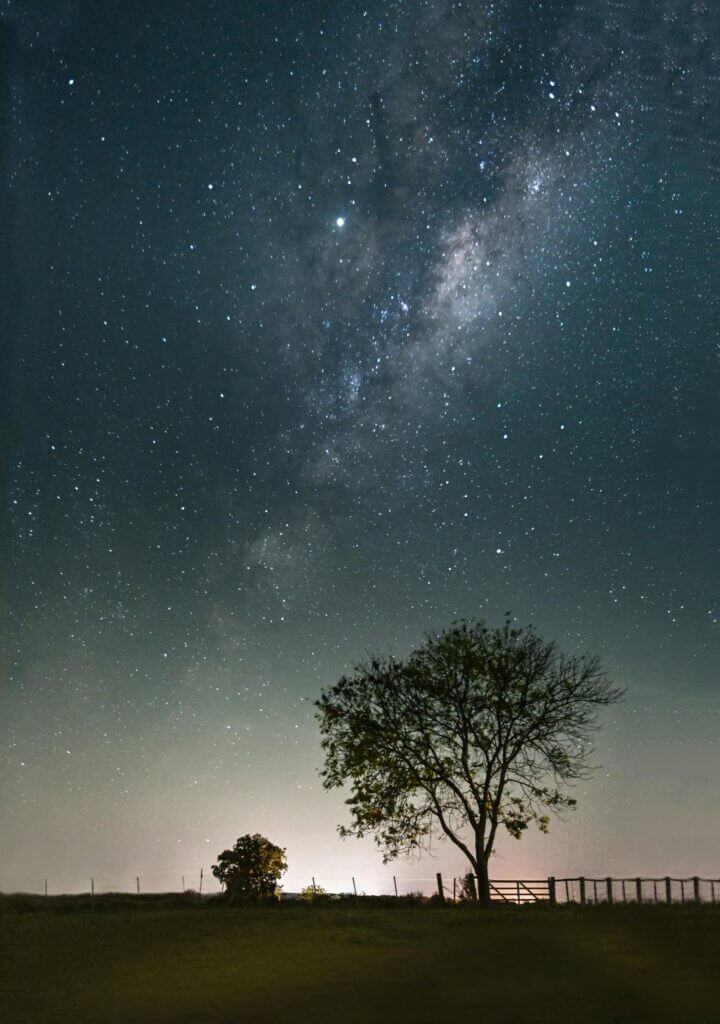 Capture of the Milky Way galaxy illuminating the night sky above a tree in El Chorro, Uruguay.