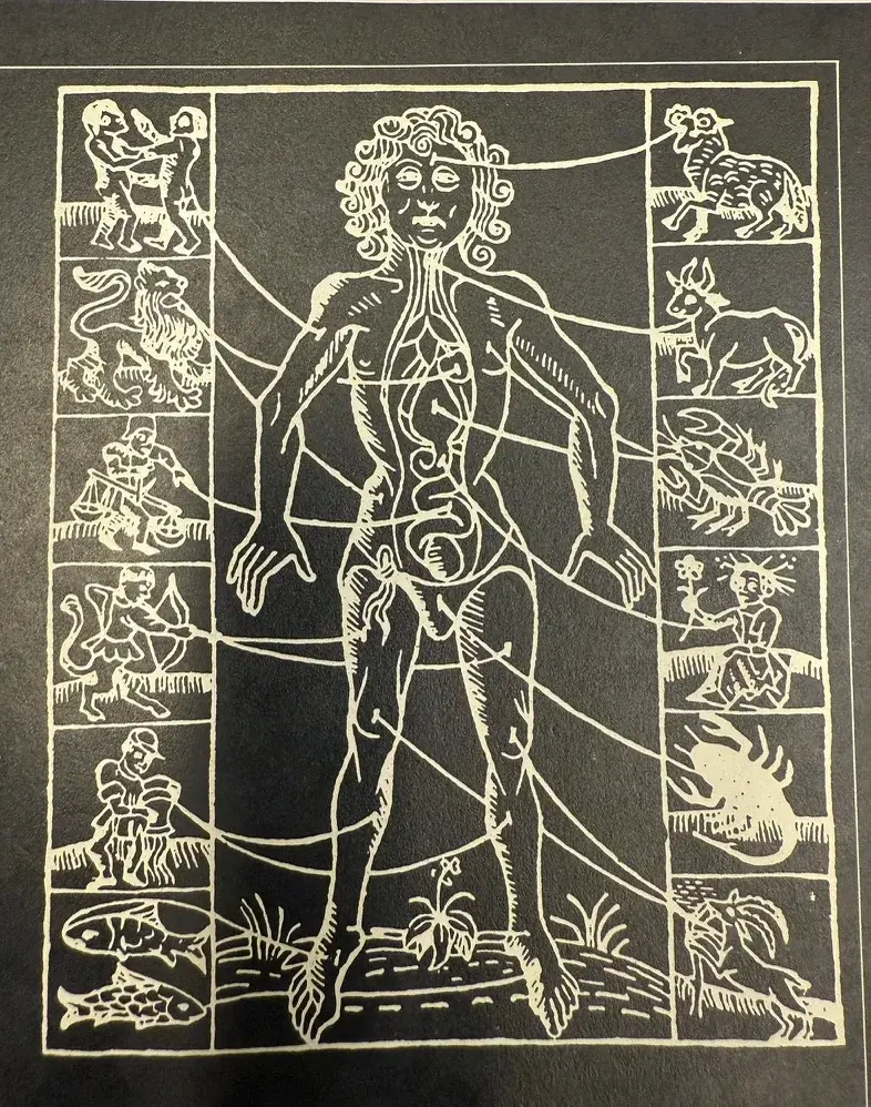 Fisiología y anatomía desde la Astrología